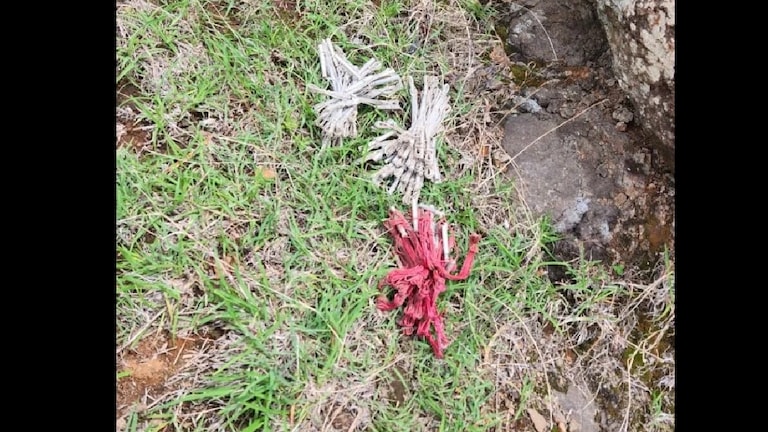 Maharashtra news Live : मोठी बातमी! पुण्यात सापडल स्फोटासाठी वापरले जाणारे 67 डेटोनेटर pune news