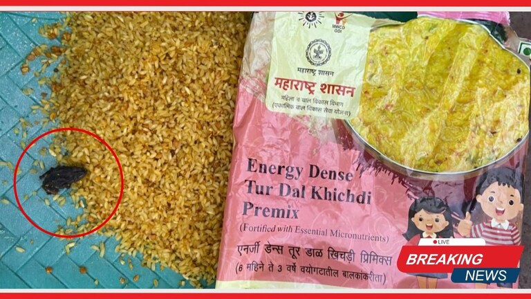 Maharashtra Breaking News : महाराष्ट्र शासनाच्यावतीने दिल्या जाणाऱ्या पोषण आहारात तळलेला बेडूक Mumbai Tak