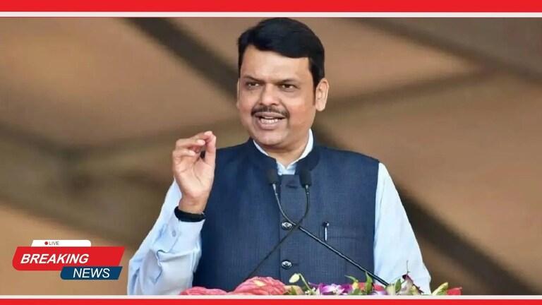 Maharashtra Assembly Election 2024 LIVE : राज्यात महायुतीचे सरकार येणार- देवेंद्र फडणवीस Mumbai Tak