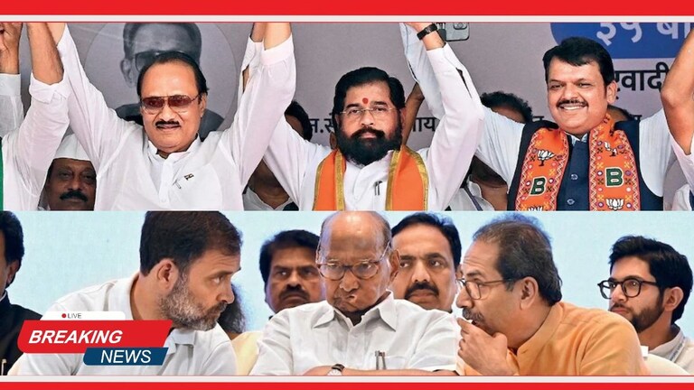 Maharashtra Assembly Election 2024 : महाराष्ट्रात प्रचाराच्या तोफा थंडावल्या, आता 20 नोव्हेंबरला मतदान! Mumbai Tak