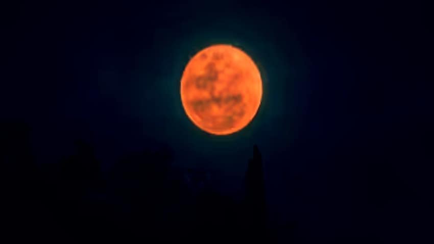 Astrology Astrology
