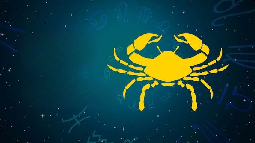 कर्क कर्क