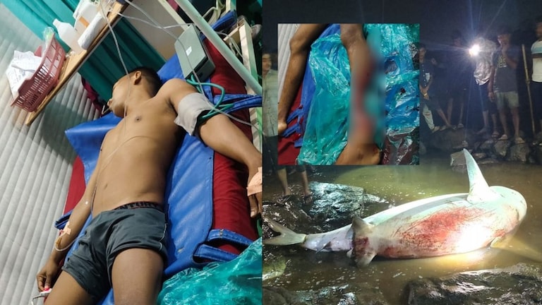 Palghar : शार्क माशाने पायच तोडला! वैतरणा खाडीत भयंकर घटना palghar news shark fish attacked on boy vaitarna river paghar shocking story