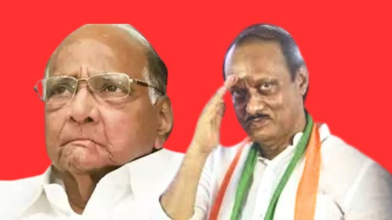 शरद पवार गटाला मोठा धक्का, 'अजित पवार गट हाच मूळ राष्ट्रवादी पक्ष' NCP MLA Disqualification