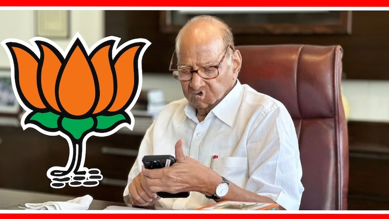 Lok Sabha 2024 : शरद पवारांना बसणार झटका, जवळचा नेता भाजपच्या वाटेवर? there is buzzing that Jayant patil may be join bjp