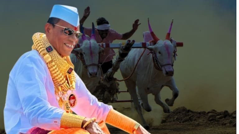 Pandhari Sheth Phadke: बैलगाडा शर्यतींचा नाद, अंगावर किलोभर सोनं मिरवणाऱ्या पंढरीशेठ फडकेचं निधन Pandhari sheth phadake pass away