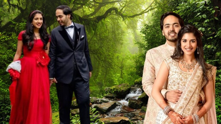 Anant Radhika Wedding : प्री वेडिंगसाठी जंगल थीम, कधी कसं होणार सेलिब्रेशन? Mumbai Tak
