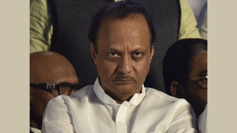 अजित पवार गटातील अंतर्गत मतभेद चव्हाट्यावर, 137 जणांचा राजीनामा! असं घडलं तरी काय? Mumbai Tak