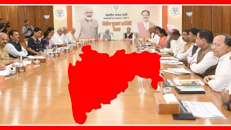 BJP List : पहिल्या यादीने महाराष्ट्रातील भाजप नेत्यांचं वाढवलं टेन्शन, कारण... BJP on Saturday released its first list of 195 Lok Sabha candidates.