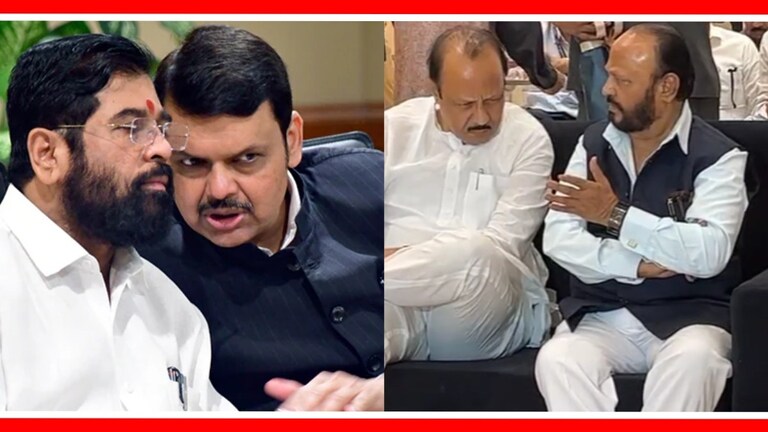 Mahayuti : "राजकारण सोडेन, पण...", शिंदेच्या नेत्याने वाढवले राणा-भाजपचे टेन्शन! Navneet will not go to Rana's campaign. Anandrao Adsul has made a statement that he will retire from politics.