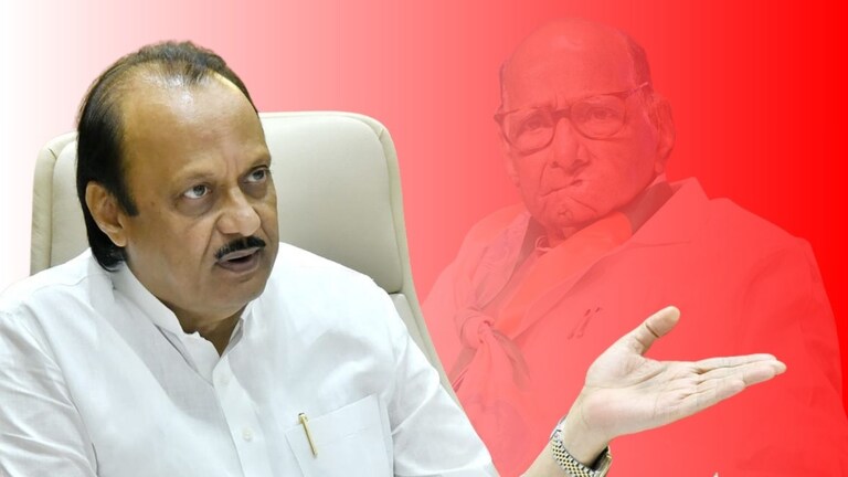 NCP: 'आमचं आता फाटलंय, पण लोकांना वाटतं...', अजित पवार 'हे' काय बोलून गेले? अजित पवारांचं मोठं विधान