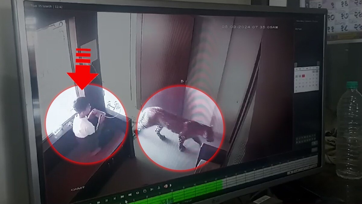 बिबट्यापासून कसा काढला चिमुकल्याने पळ?