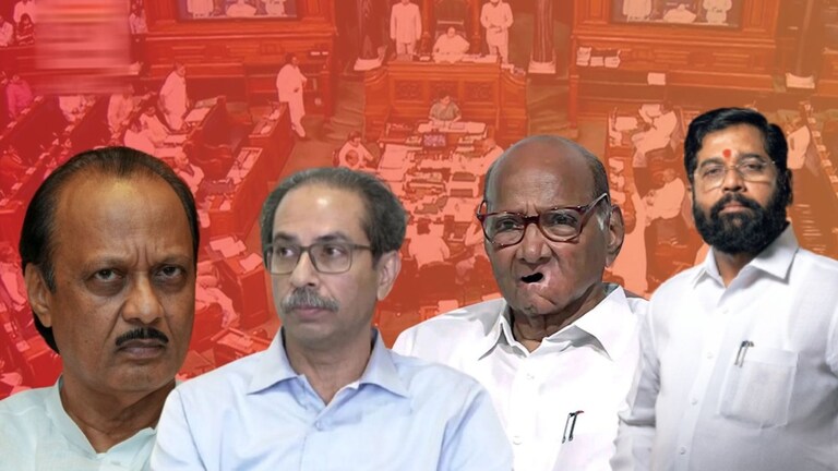 Maharashtra 48 MP: शिंदे-ठाकरे की, पवार-पवार... तुमचा खासदार सध्या नेमका कोणासोबत? महाराष्ट्रातील कोणता खासदार कोणासोबत?