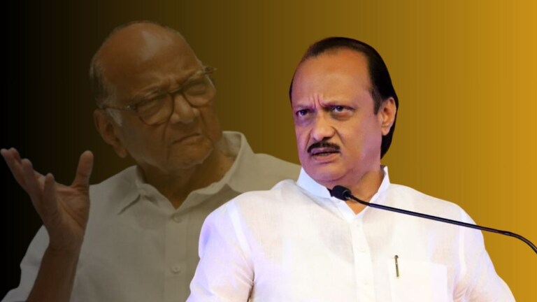Ajit Pawar: 'शरद पवार म्हणतात मला...' यावर अजितदादा काय म्हणाले? शरद पवारांच्या त्या विधानावर अजित पवार काय म्हणाले?