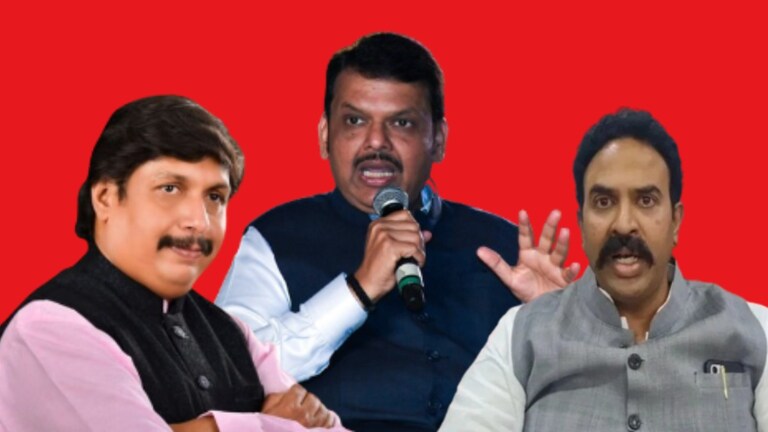 Madha Lok Sabha : भाजपकडून निंबाळकरांना तिकीट, धैर्यशील पाटलांनी सांगितला पुढचा प्लॅन मोहिते पाटील देखील माघार घेण्याच्या तयारीत नसून त्यांनी पुढचा प्लॅन आखायला सुरुवात केली आहे.