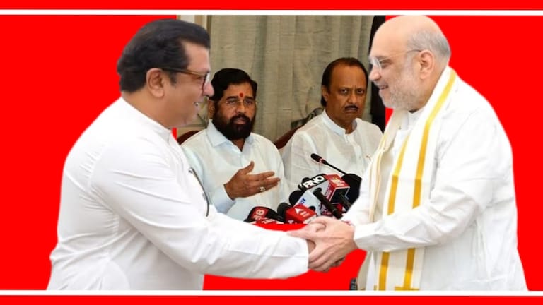 MNS BJP Alliance : राज ठाकरेंची एन्ट्री, महायुतीत कुणाची जाणार विकेट? मनसे महायुतीत सामील झाल्यानंतर राजकीय समीकरणे कसे बदलतील?