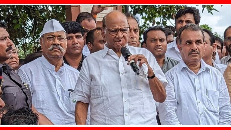 Lok Sabha election 2024 : शरद पवारांनी सातारा, रावेरच्या उमेदवारांची केली घोषणा एकापेक्षा जास्त जण लढण्यास उत्सुक आहेत, असे पवार साताऱ्यात बोलताना म्हणाले.
