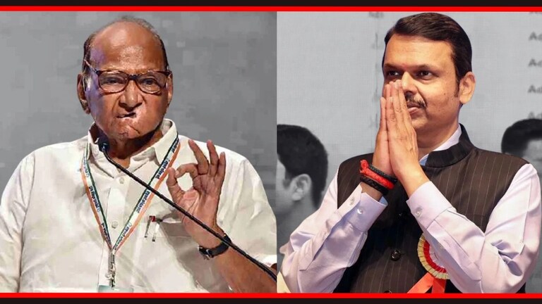 Lok Sabha election : माढ्यात भाजपला बसणार जबर झटका? पवारांचा उमेदवार ठरणार! शरद पवार आणि देवेंद्र फडणवीस.