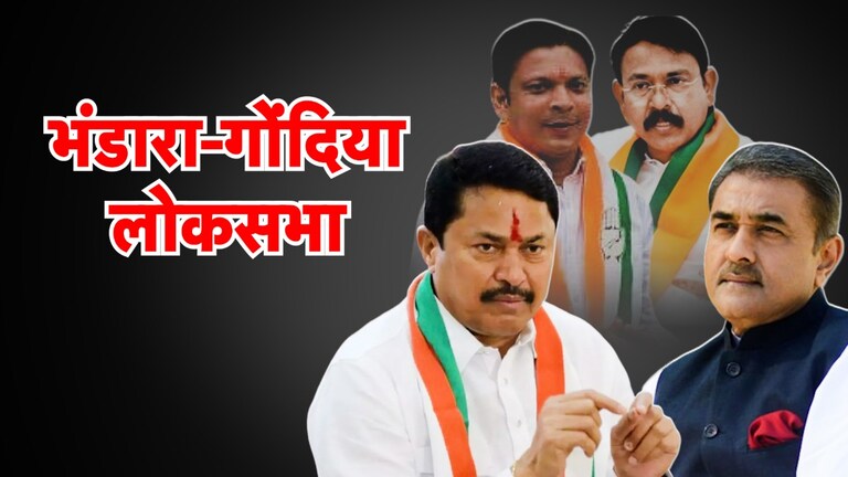Lok Sabha Election 2024: पटेल, पटोलेंची प्रतिष्ठा पणाला! बंडखोर कुणाच्या अडचणी वाढवणार? पटेल, पटोलेंची प्रतिष्ठा पणाला!