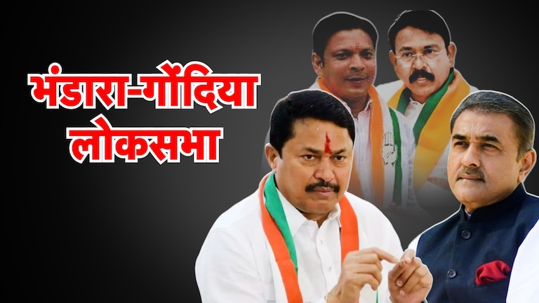 Lok Sabha Election 2024: पटेल, पटोलेंची प्रतिष्ठा पणाला! बंडखोर कुणाच्या अडचणी वाढवणार? पटेल, पटोलेंची प्रतिष्ठा पणाला!