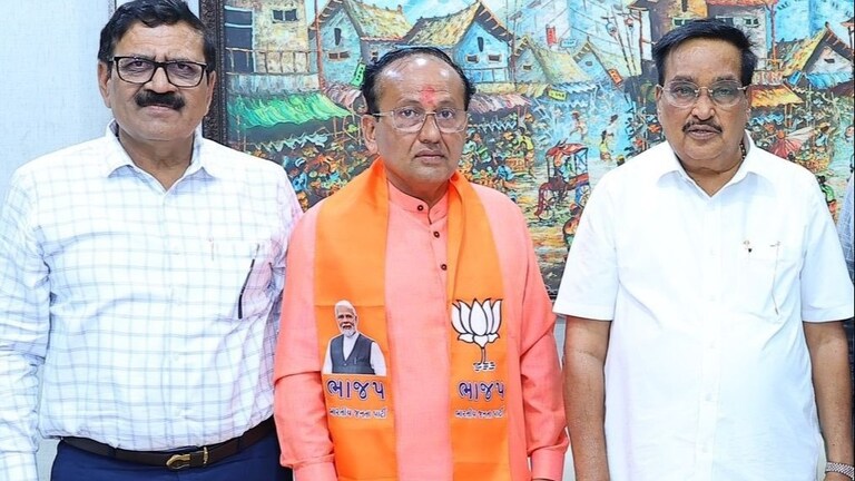 Lok Sabha Election : निकाल लागण्याआधीच भाजपचा 'हा' उमेदवार विजयी! Mumbai Tak