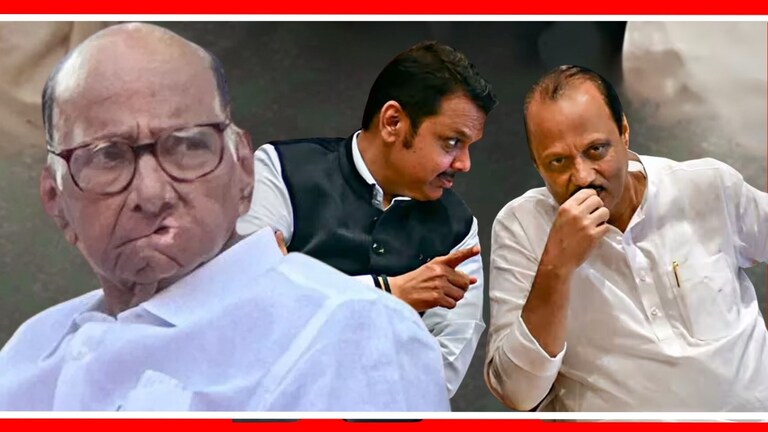 Baramati Lok Sabha : शरद पवारांच्या बालेकिल्ल्यात महायुती गुलाल उधळणार का? बारामती लोकसभा मतदारसंघातील राजकीय स्थिती?