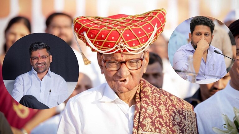 Lok Sabha Election 2024: 'आमच्या गावरान मराठीमध्ये बोलणारा...', पवारांनी सुजय विखेंना 'असं' घेरलं! 'इंग्रजी बोलतो म्हणून मी फार शहाणा झालो असं काही समजायचं काही कारण नाही. ते तुमचं इंग्रजी तुमचं तुम्हाला लखलाभ..'