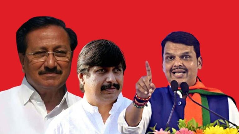 Madha Lok Sabha Election 2024 : ''माढा मोहिते पाटलांच्या दहशतीतून मुक्त करणार'', देवेंद्र फडणवीसांची जोरदार टीका रणजितदादांविरूद्ध जे उमेदवार उभे राहिलेत त्यांचा इतिहास बघा.