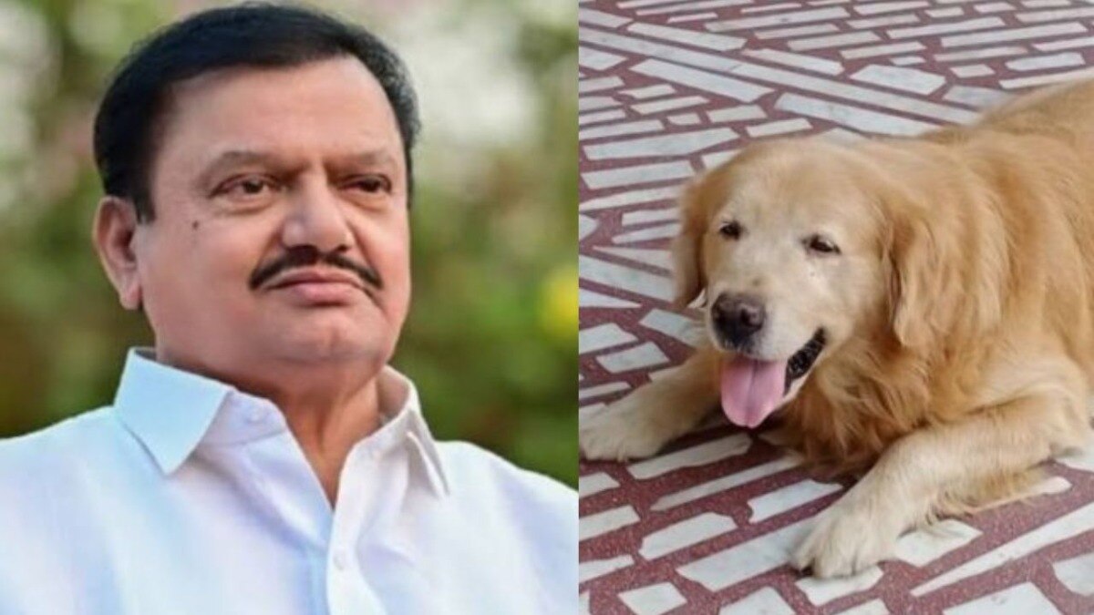 पी एन पाटील यांच्या लाडक्या श्वानाने देखील प्राण सोडले होते.