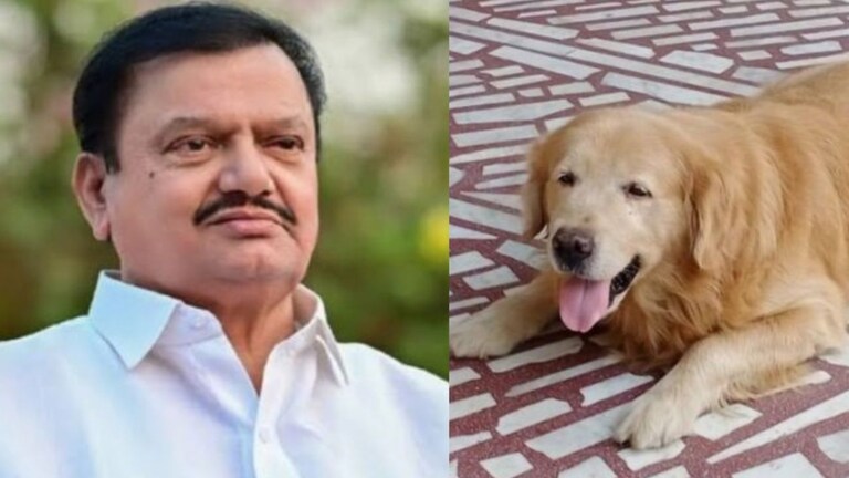 P N Patil : पी.एन.पाटलांच्या निधनानंतर लाडक्या 'ब्रुनो'नेही सोडला जीव पी एन पाटील यांच्या लाडक्या श्वानाने देखील प्राण सोडले होते.