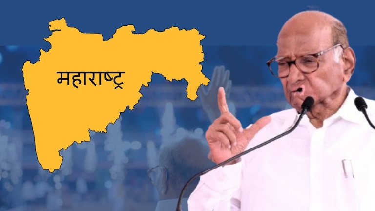 Lok Sabha Election 2024: Exit Poll मध्ये शरद पवारांचा 'आकडा' ठरला खरा! शरद पवारांचा 'आकडा' ठरला खरा!