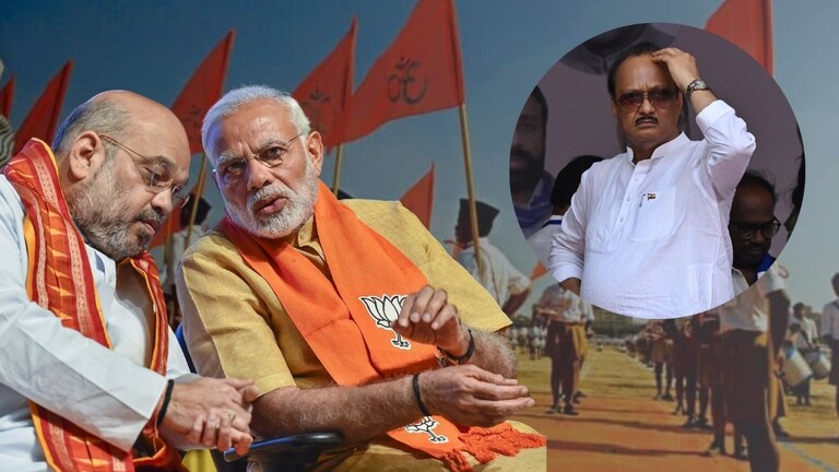 BJP Maharashtra: 'अजित पवारांना सोबत का घेतलं?' RSS ने भाजपवर संतापली 'अजित पवारांना सोबत घेतल्याने भाजपचं नुकसान'