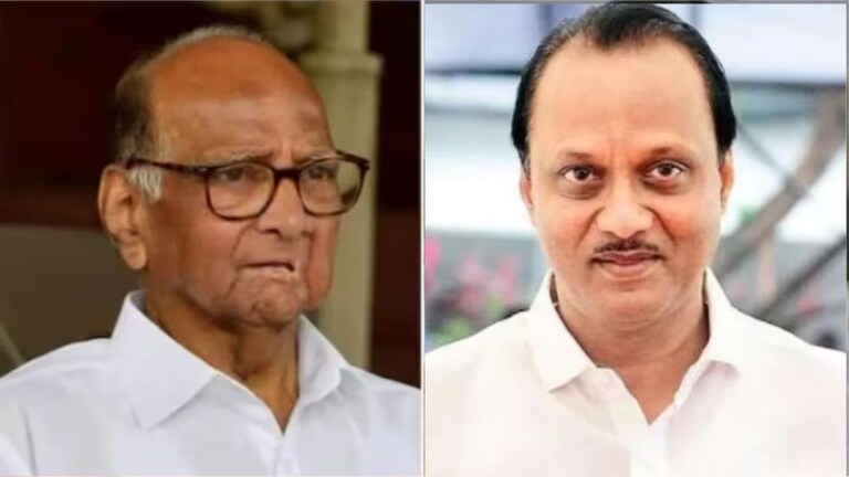 Bajrang Sonawane : शरद पवारांचा खासदार अजित पवारांसोबत जाणार, सत्य काय? अमोल मिटकरींच्या आरोपावर आता बजरंग सोनवणे यांनी स्पष्टच उत्तर दिले आहे.