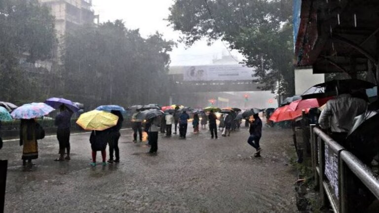 Maharashtra Weather : मुंबईला बरसणार! तुमच्या जिल्ह्यासाठी काय आहे अंदाज? Mumbai Tak