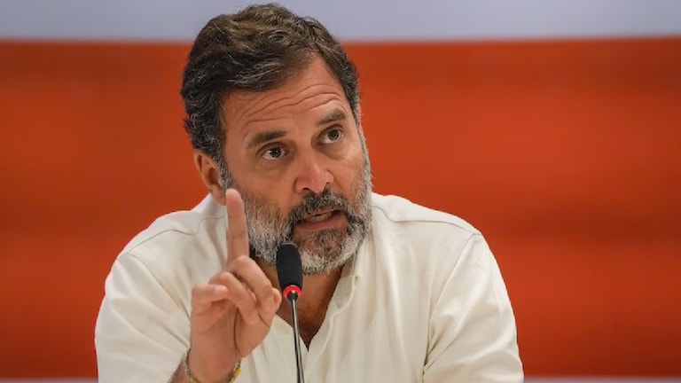 Congress : राहुल गांधींनी सोडली वायनाडची खासदारकी, काँग्रेसकडून 'मोठ्या' नेत्याला तिकीट! राहुल गांधी रायबरेलीची खासदारकी कायम ठेवणार