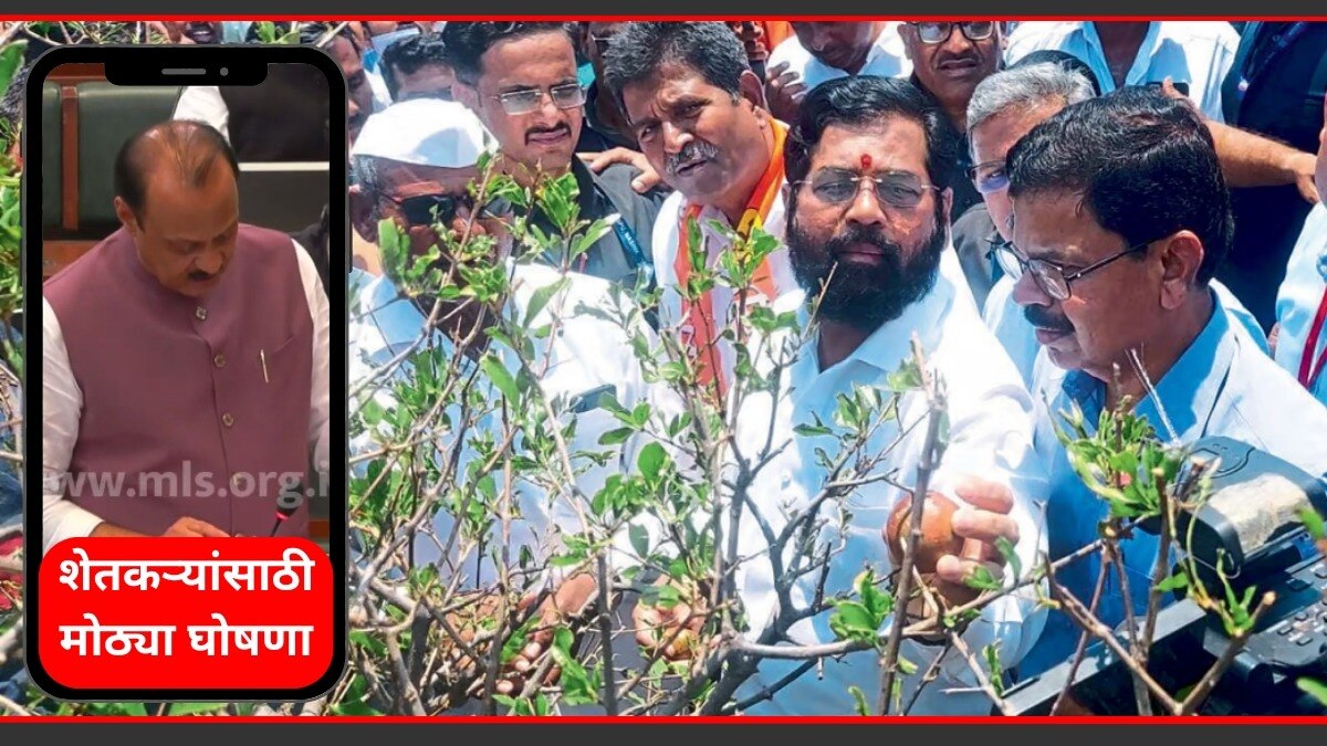 अजित पवारांनी शेतकऱ्यांसाठी अर्थसंकल्पात मोठ्या घोषणा केल्या. 