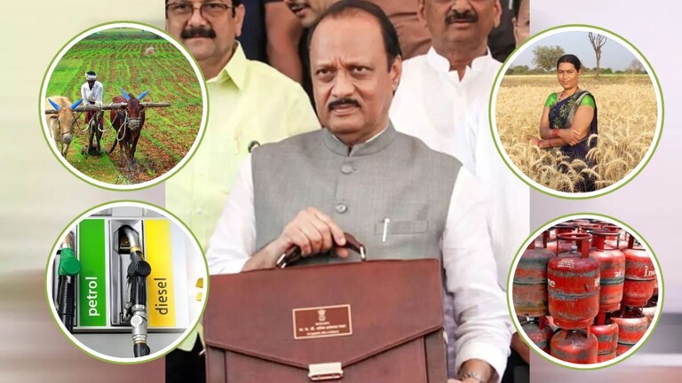 Maharashtra Budget 2024 : अर्थसंकल्पात काय स्वस्त, काय झालं महाग? पाहा संपूर्ण लिस्ट अर्थसंकल्पात आगामी विधानसभा निवडणूका पाहता या अर्थसंकल्पात मोठ्या घोषणा करण्यात आल्या आहेत.