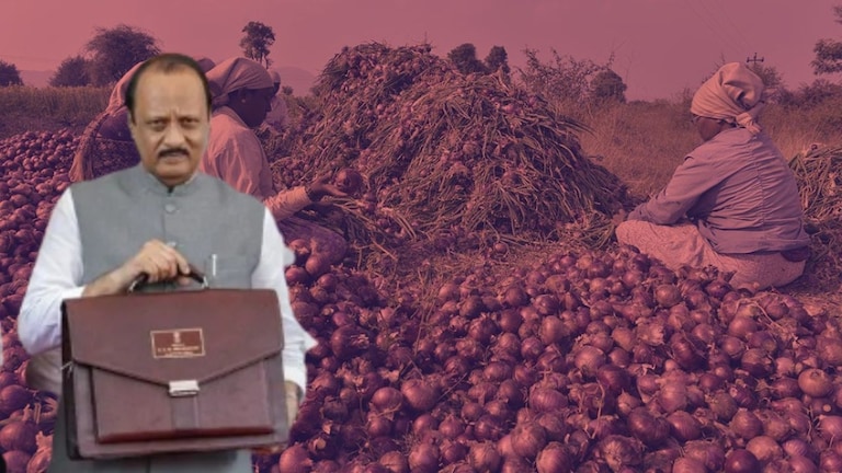Maharashtra Budget 2024 : लोकसभेत महायुतीला रडवलं! कांद्याबाबत बजेटमध्ये काय निर्णय झाला? अर्थसंकल्पातून सरकारने प्रत्येक घटकाला न्याय देण्याचा प्रयत्न केला आहे.