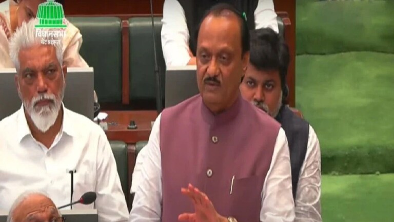 Maharashtra Budget 2024 : शिंदे सरकारच्या 'या' घोषणांची चर्चा, बजेटमध्ये काय? राज्याचे अर्थमंत्री अजित पवार यांनी राज्याचा अर्थसंकल्प सादर केला आहे.