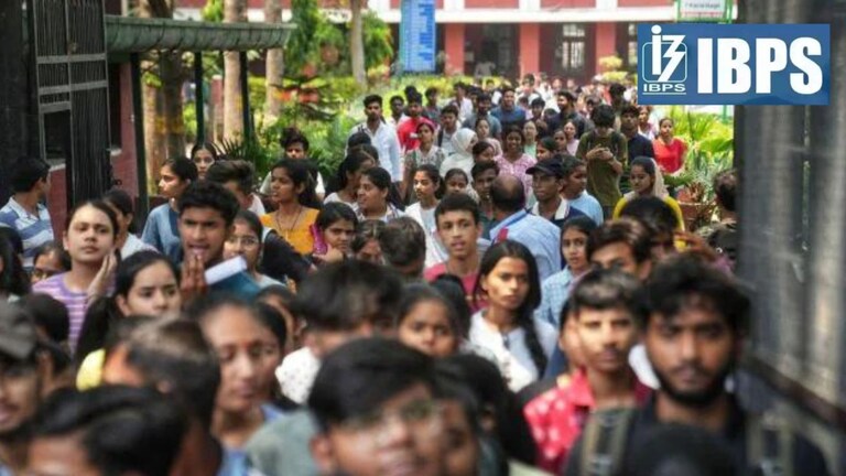 भरघोस पगार, सरकारी नोकरी... IBPS मार्फत 6 हजार जागांसाठी मेगा भरती! Mumbai Tak