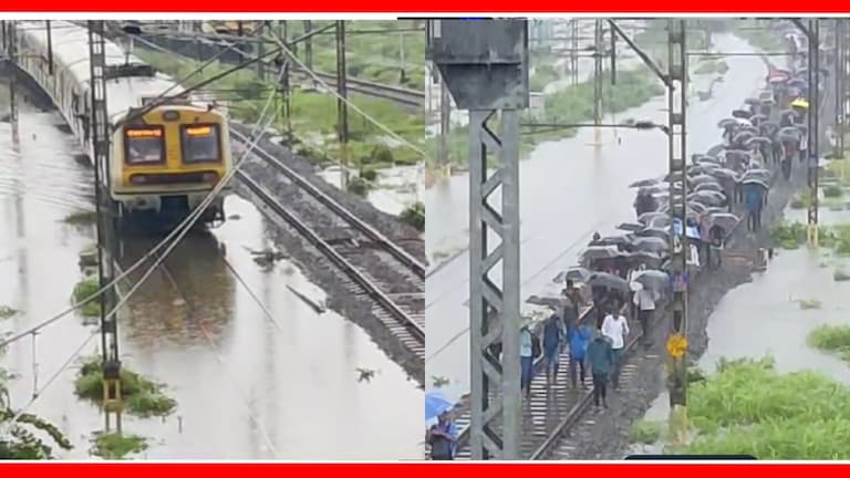 Mumbai Local Train Update : मध्य रेल्वे, हार्बर लाईनवरील लोकल सेवा सुरु झाली का? मोठी अपडेट मुंबईतील लोकल सेवा पावसामुळे विस्कळीत झाली आहे.