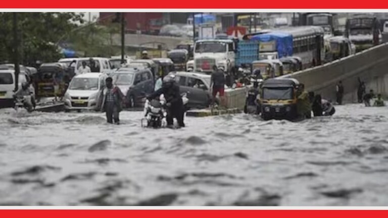 Maharashtra Weather : मुंबईसह 'या' जिल्ह्यांत पाऊस घालणार हैदोस! IMD चा इशारा मुंबईसह महाराष्ट्रातील अनेक जिल्ह्यात अतिमुसळधार पाऊस होण्याचा अंदाज वर्तवण्यात आला आहे.