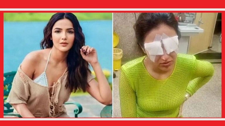 Jasmin Bhasin : डोळ्यांनी दिसेना, झोपताही येईना; अभिनेत्रीला नेमका कोणता आजार झाला? जस्मिन भसीनसोबत नेमकी काय घटना घडली आहे?