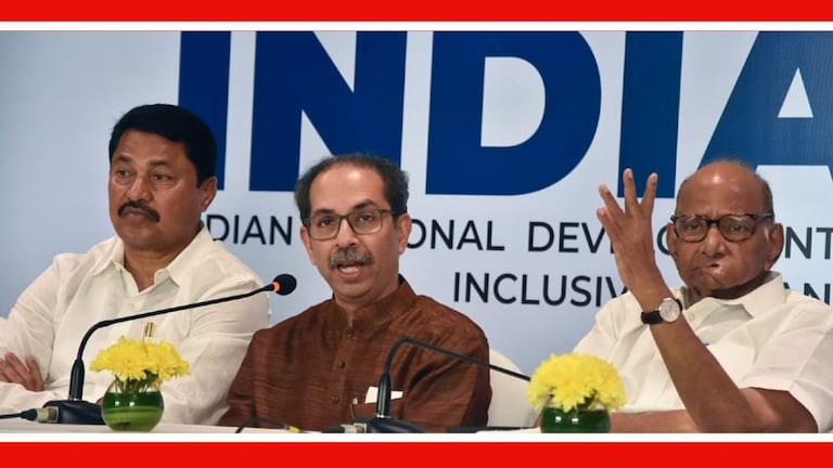 Uddhav Thackeray : विधानसभेआधीच महाविकास आघाडीत बिघाडी? ठाकरेंच्या नेत्याच्या विधानाने खळबळ उद्धव ठाकरेंमुळे काँग्रेसचे इतके खासदार निवडून आलेत