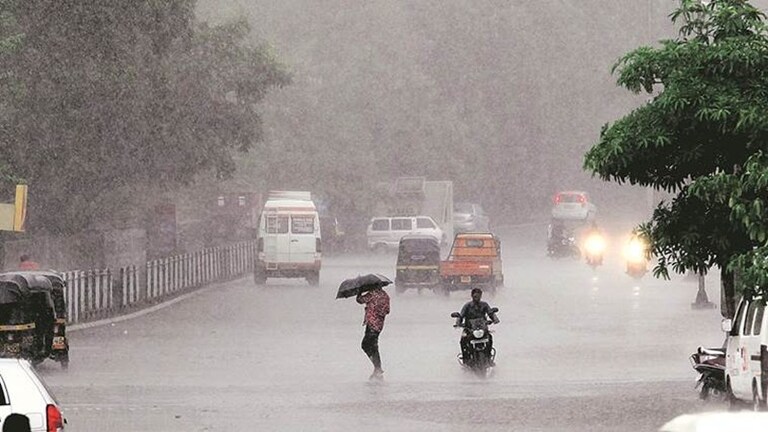 Maharashtra Weather: महाराष्ट्रातील 'या' जिल्ह्यांना अतिवृष्टीचा इशारा! पहा IMD चा अंदाज Mumbai Tak