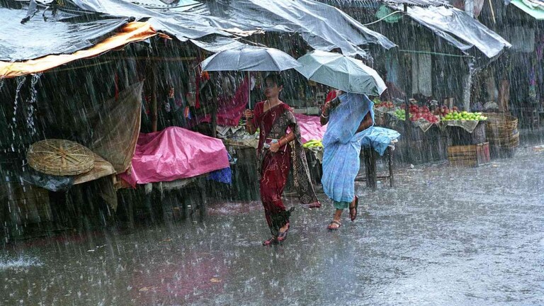 Maharashtra Weather: राज्यातील काही भागांत पावसाची विश्रांती; पण 'या' जिल्ह्यांना 'मुसळधार' इशारा! Mumbai Tak