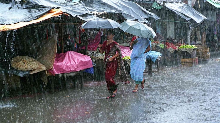 Maharashtra Weather: राज्यातील काही भागांत पावसाची विश्रांती; पण 'या' जिल्ह्यांना 'मुसळधार' इशारा! Mumbai Tak