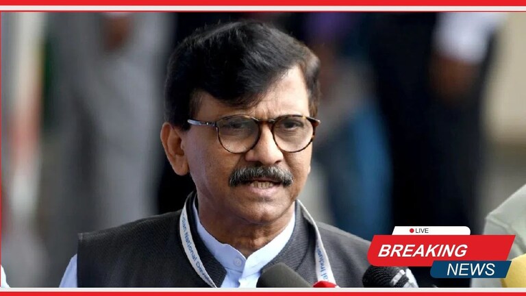 मविआचं सरकार आल्यावर लाडक्या बहिणींना किती पैसे मिळणार? संजय राऊतांनी आकडाच सांगितला Mumbai Tak