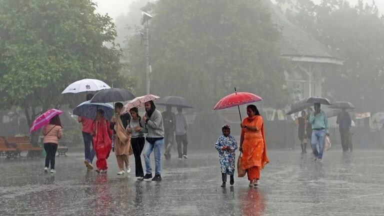 Maharashtra Weather: कुठे उकाडा तर कुठे मुसळधार! आज तुमच्या शहरात पावसाचा अंदाज काय? Mumbai Tak