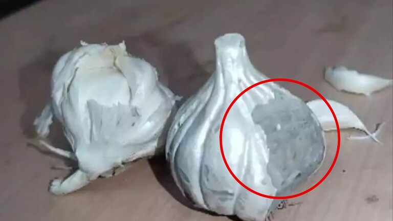 Akola: बाई... हा काय प्रकार? बाजारात आलाय सिमेंटचा लसूण; फेरीवाल्याकडून महिलेची फसवणूक! Mumbai Tak